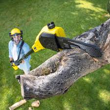 Best Pest Control for Lawns  in Hico, TX